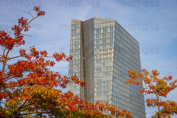 The European Central Bank