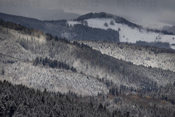 Fresh snow in November with a wonderful view of the Black Forest in a cloudy atmosphere