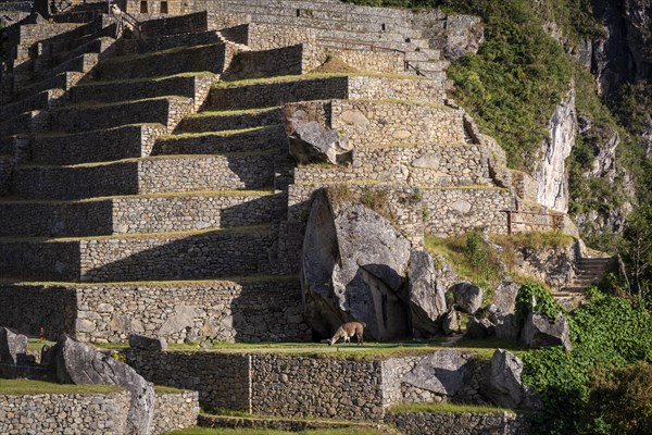 A view of Machu Picchu ruins