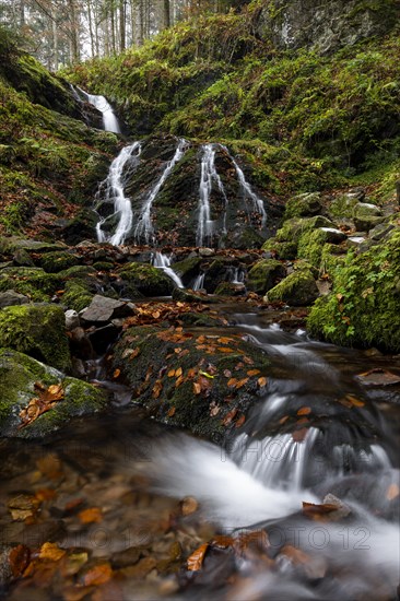 Waterfall in autumn forest