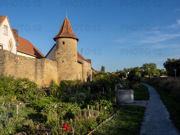 Part of the old town wall and towers