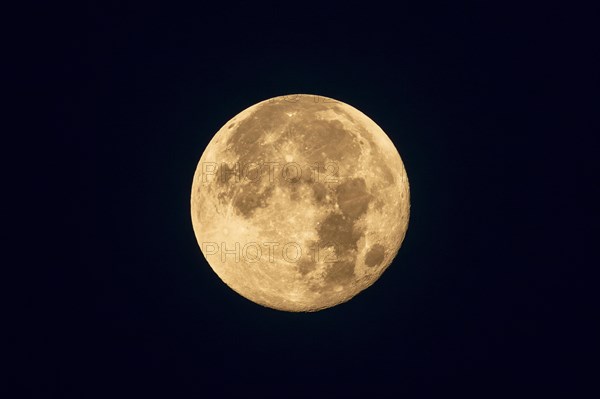 Full moon