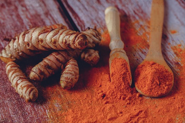 Fresh turmeric root and ground turmeric in a wooden spoon poured out on a wooden table