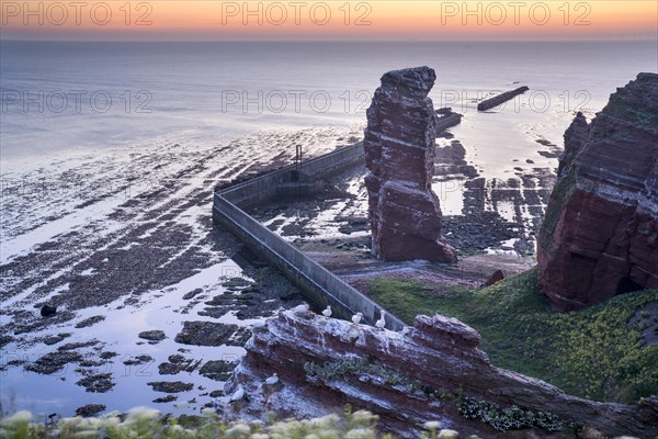 Lange Anna with cliffs on the high seas island of Helgoland