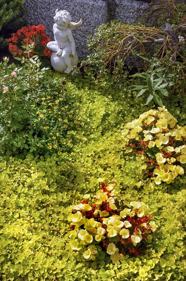 Gravestone with begonias