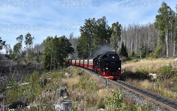 Harz narrow-gauge railway