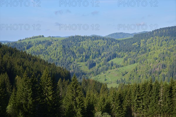 Low mountain landscape