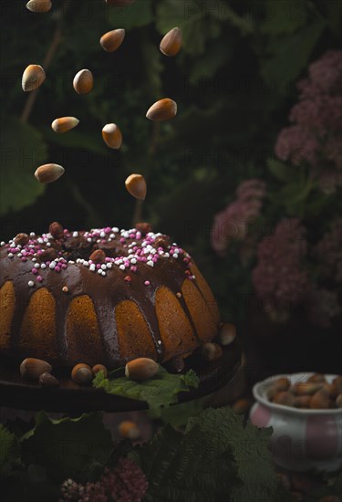 Hazelnut cake