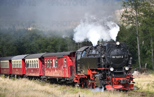 Harz narrow-gauge railway