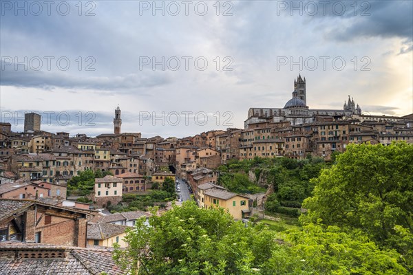 City view of Siena