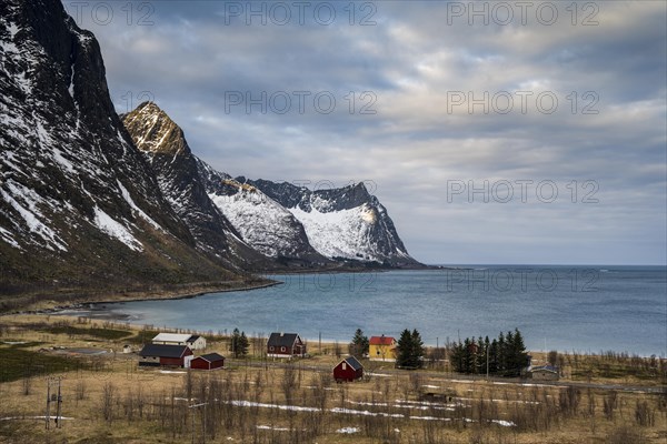 Houses by the fjord