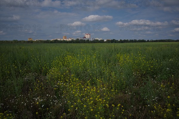 View across a pastureland to residential buildings on the outskirts of the town