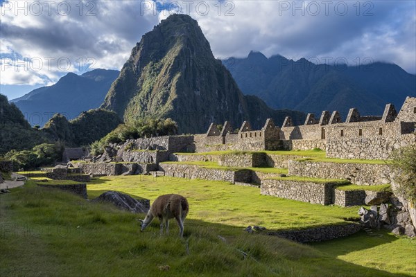 A view of Machu Picchu ruins