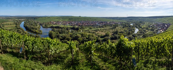 View from Vogelsburg Castle on the Main Loop