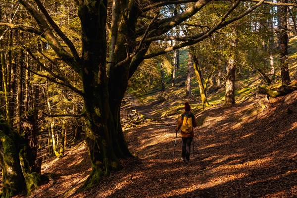 A young hiker in the Artikutza natural park on an autumn afternoon