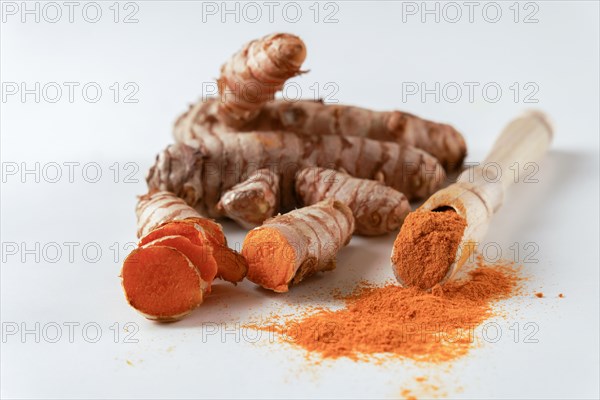 Fresh turmeric root and ground turmeric on a wooden spoon isolated on white background and copy space