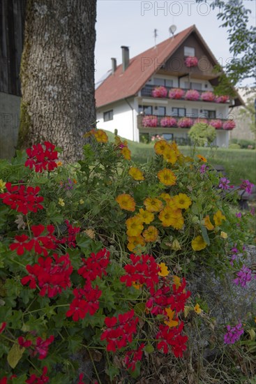 Early autumn in Grosserlach
