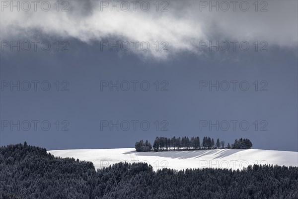 Fresh snow in November with a wonderful view of the Black Forest in a cloudy atmosphere