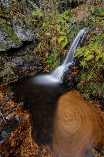 Mountain stream and waterfall in autumn forest