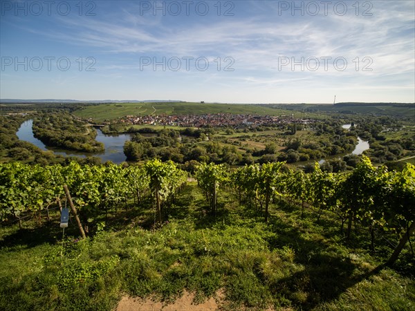 View from Vogelsburg Castle on the Main Loop