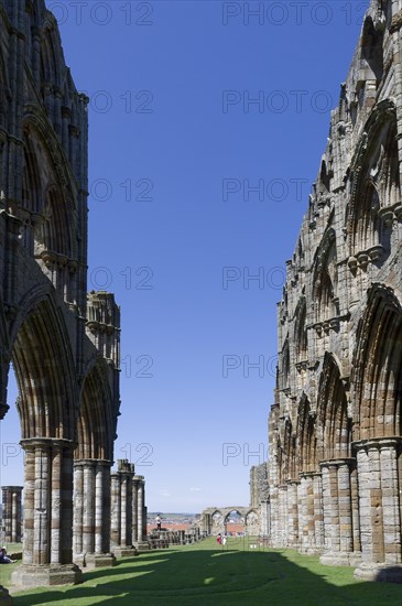 Whitby Abbey