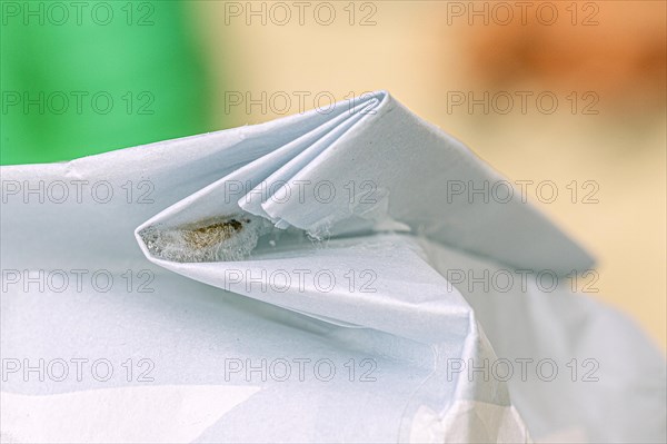 A food moth sticks to the inside of the fold of a food packaging in a moth cocoon