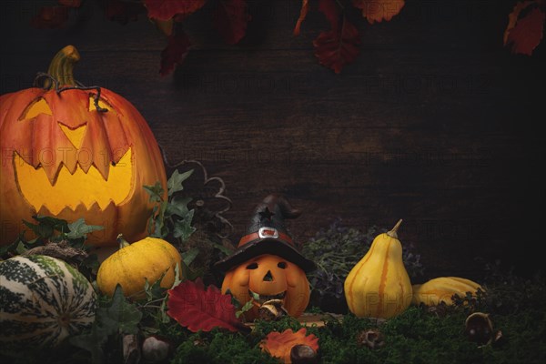 Halloween background with pumpkins