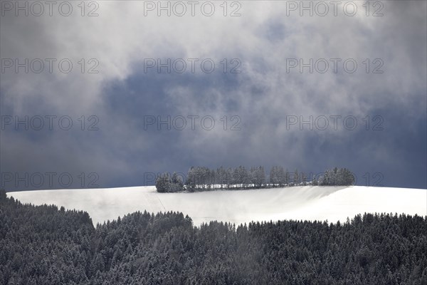 Fresh snow in November with a wonderful view of the Black Forest in a cloudy atmosphere