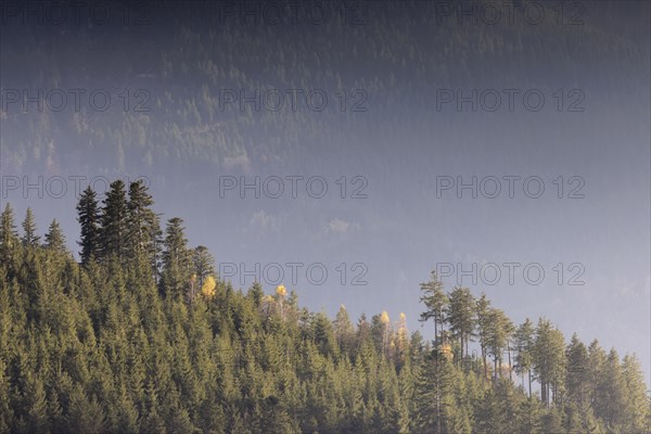 Autumn view from the Buchkopf