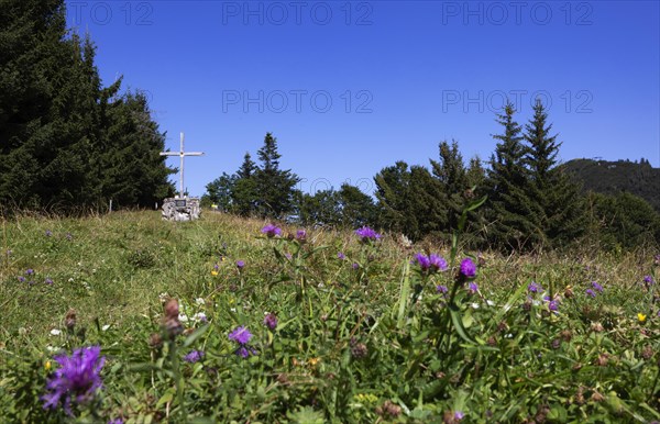 Summit cross on the Spielberg