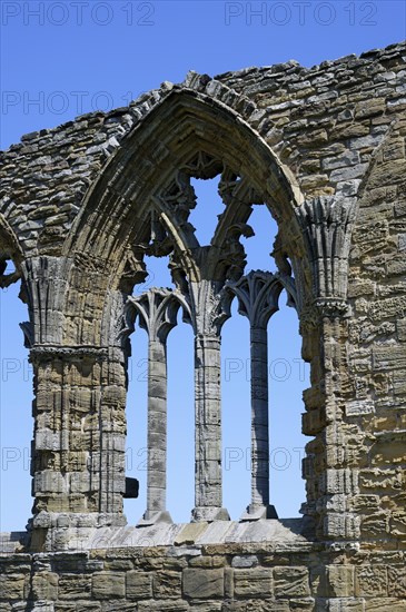 Whitby Abbey