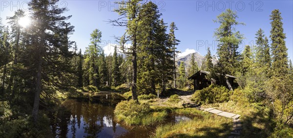 Moor pond on the nature adventure trail through the Rauris primeval forest