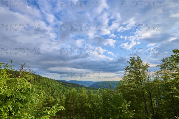 Low mountain landscape