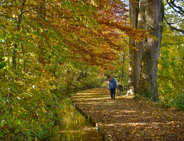Krummbach autumn walk