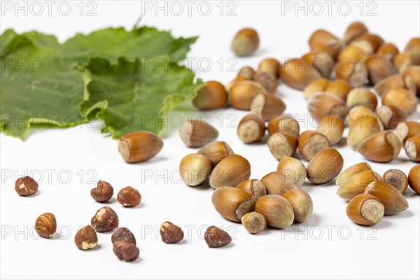 Hazelnuts in and without shell