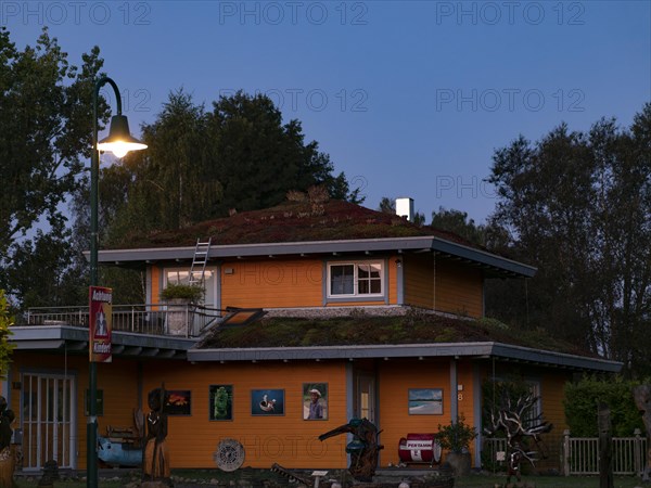 Wooden house