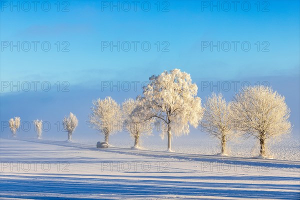 Car driving on a country road in a wintry landscape with frosty trees