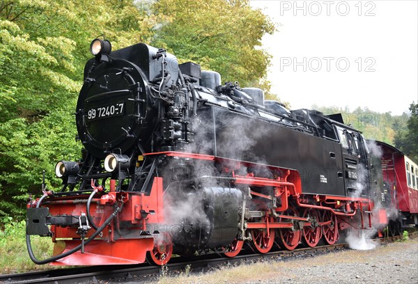 Harz narrow-gauge railway