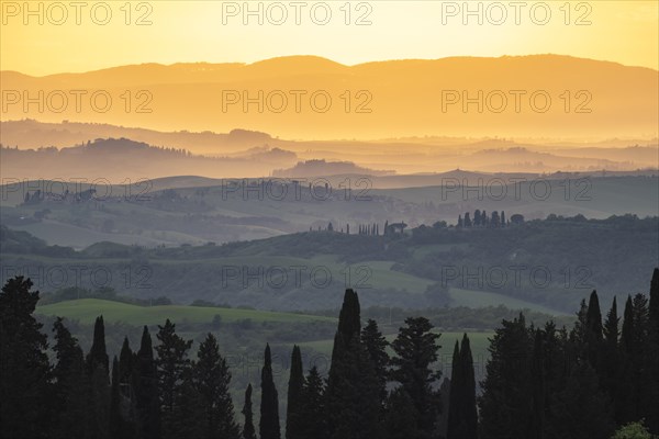 Hilly landscape of the Crete Senesi in the evening light