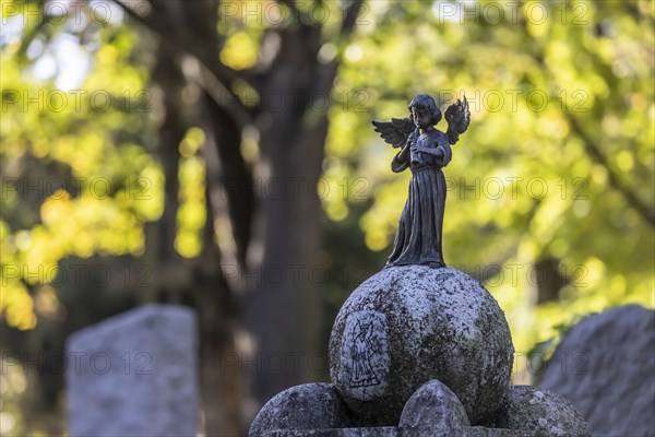 Prague Cemetery Stuttgart in autumn