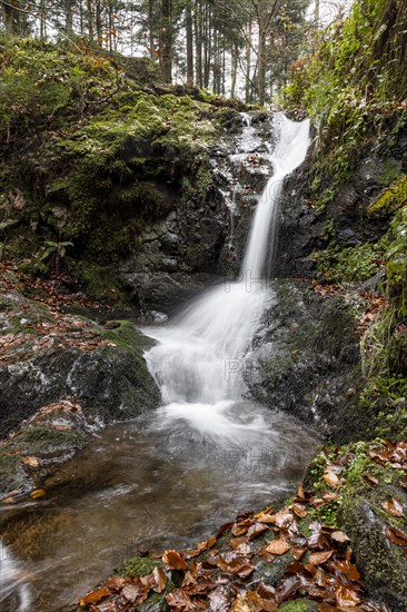 Waterfall in autumn forest