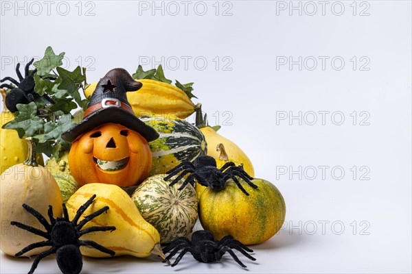 Various ornamental pumpkins with ivy vine
