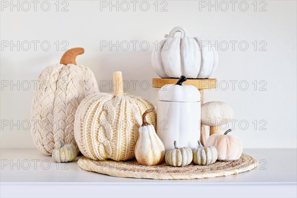Autumn decor arrangement with pumpkins