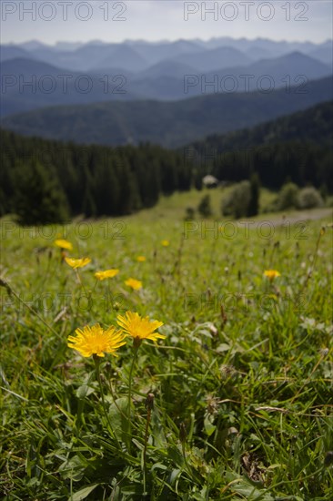 Hiking area Brauneck region