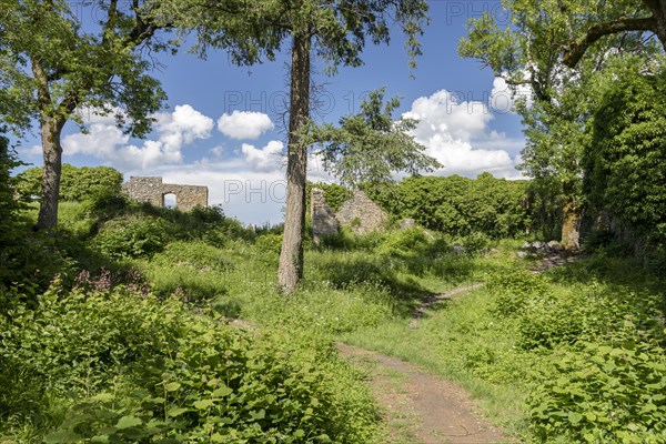 View from the ruins of Maegdeberg Castle