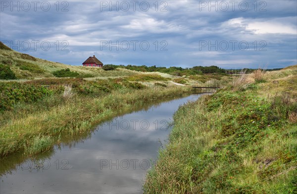 Little house by the stream