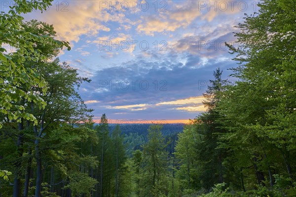 Low mountain landscape