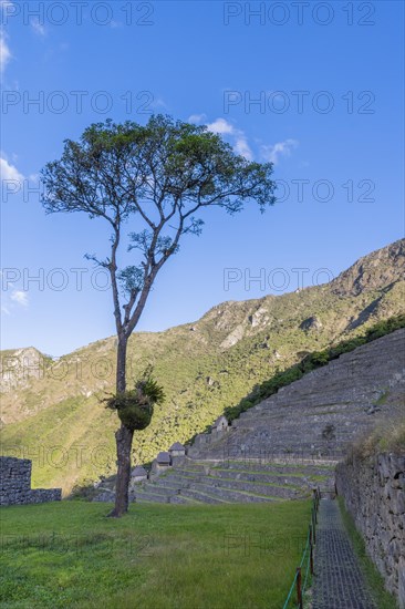 A view of Machu Picchu ruins