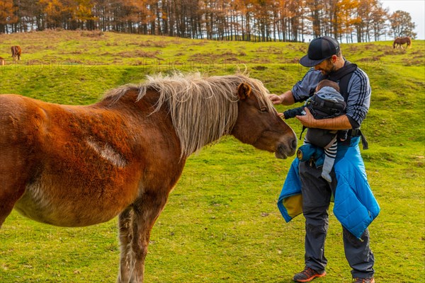 A father and his baby caress a wild horse on Mount Erlaitz in the town of Irun