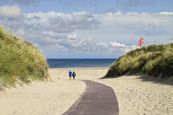 Beach tussock walk through the dunes